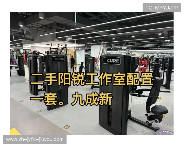 阳锐健身器材官网正品直销专业运动器械